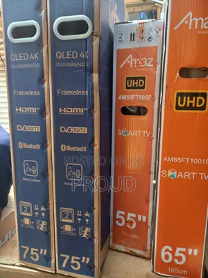 Enzo 75 Inch Fremless Tv