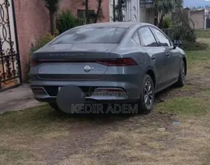 BYD Qin Plus DM-i 2024 Gray