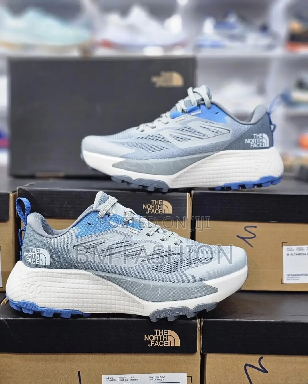 The North Face Men's Altamesa 500 Trail Running Shoes