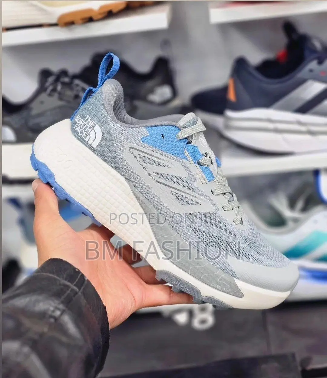 The North Face Men's Altamesa 500 Trail Running Shoes