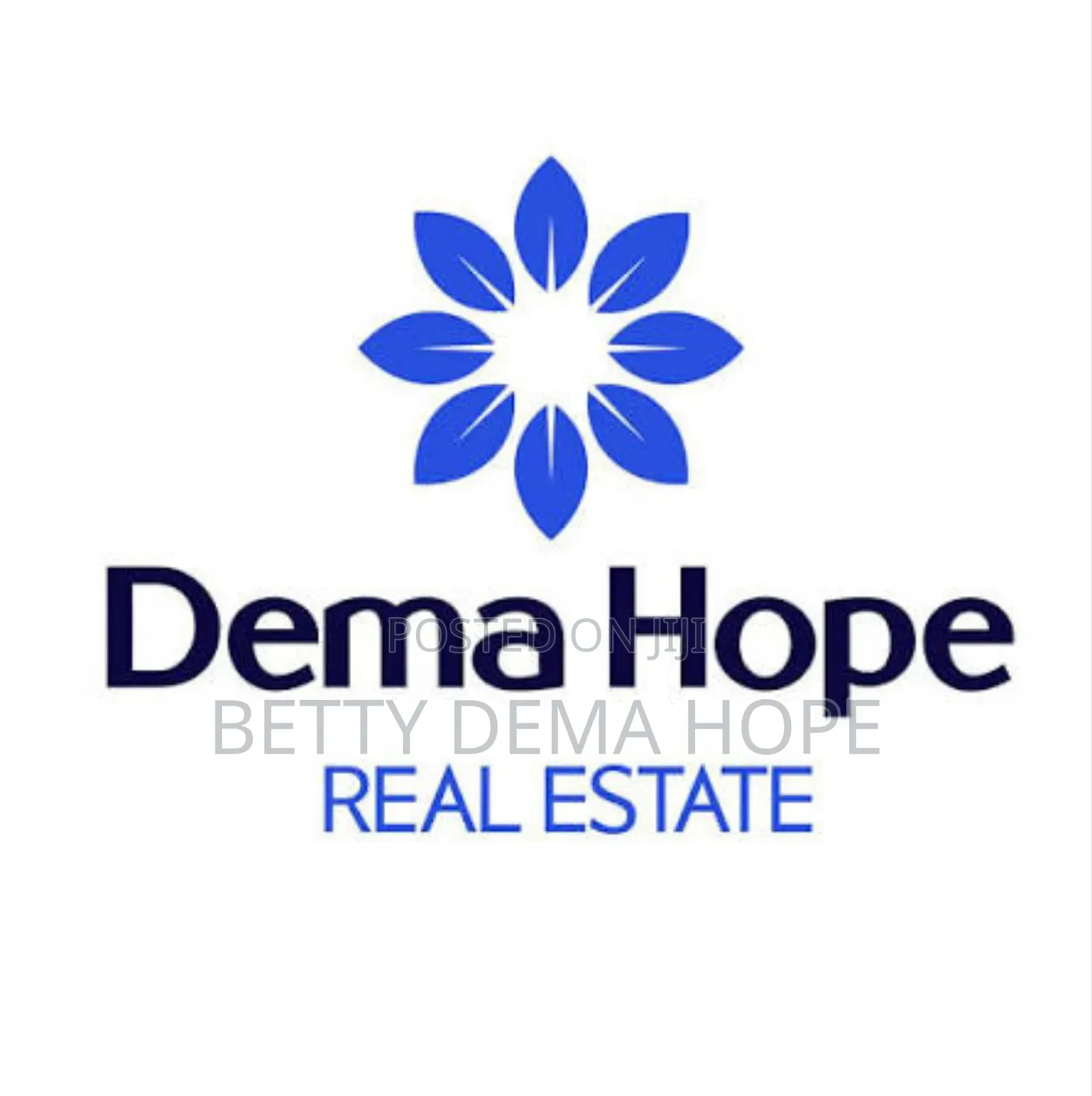 1bdrm Apartment in Dema Hope  Real, Bole for sale