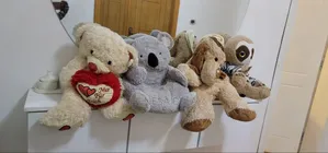 Photo - Toys for Kids