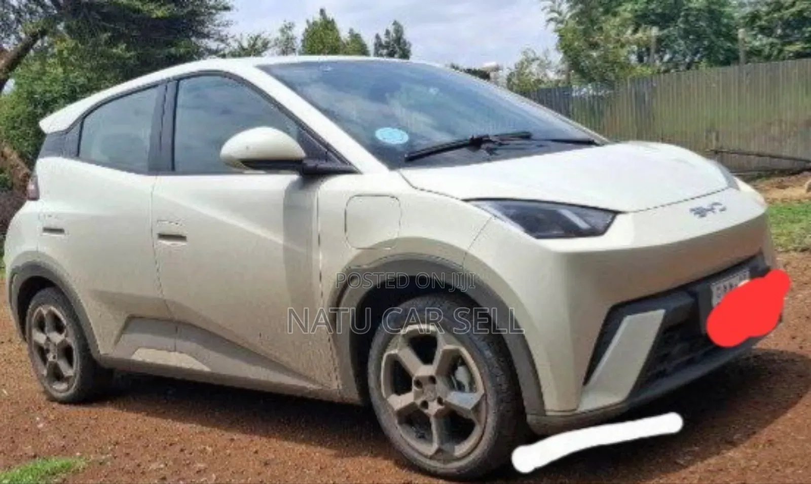 BYD Seagull 2024 White