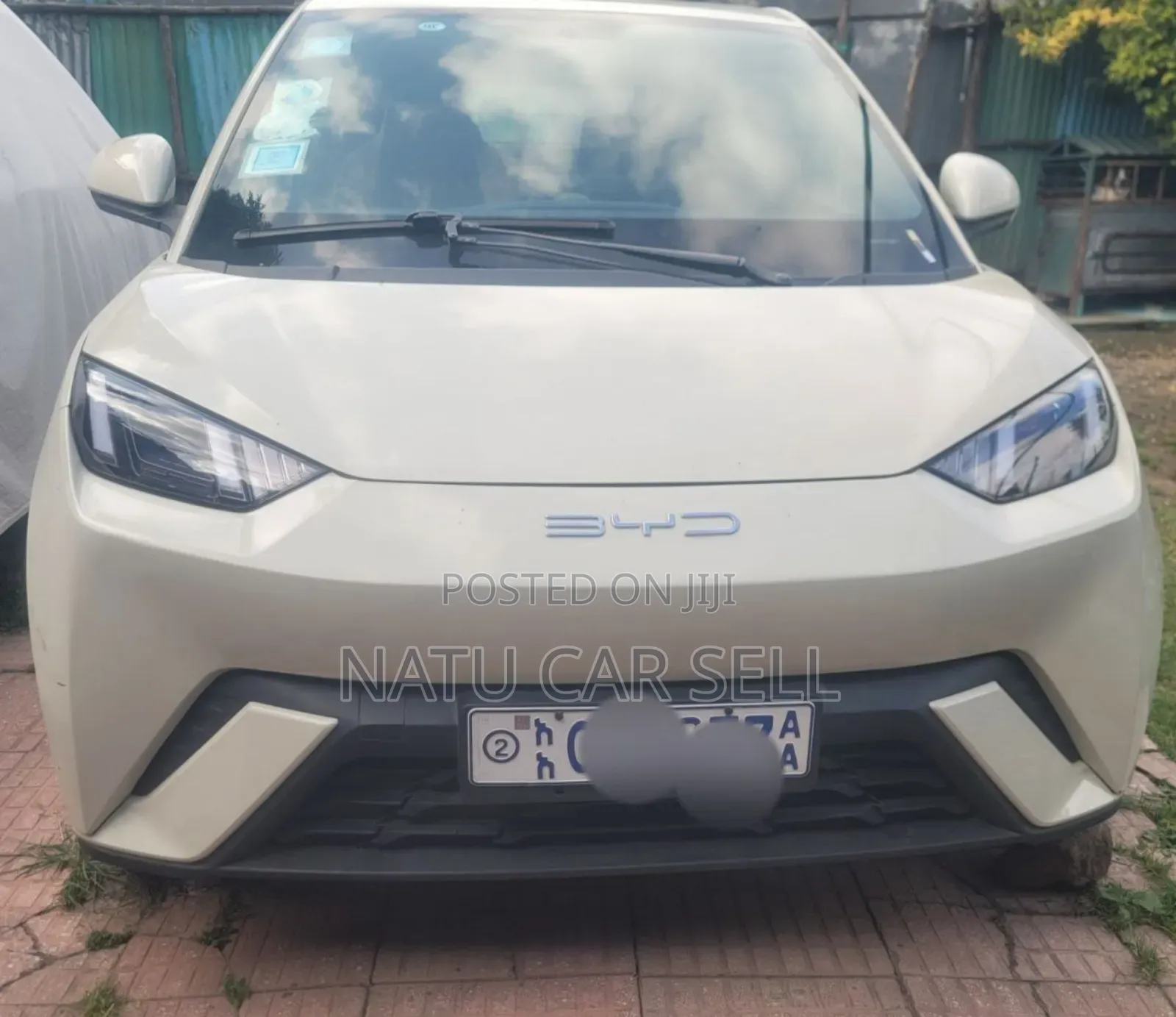 BYD Seagull 2024 White