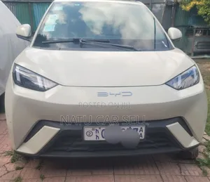 BYD Seagull 2024 White