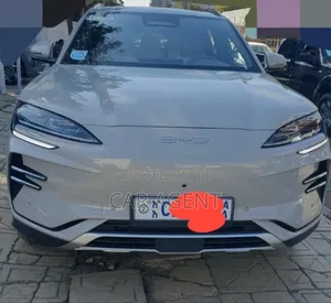 BYD Song Plus 2025 Gray