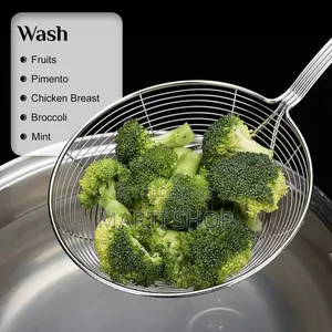 Satinless Steel Spider Strainer