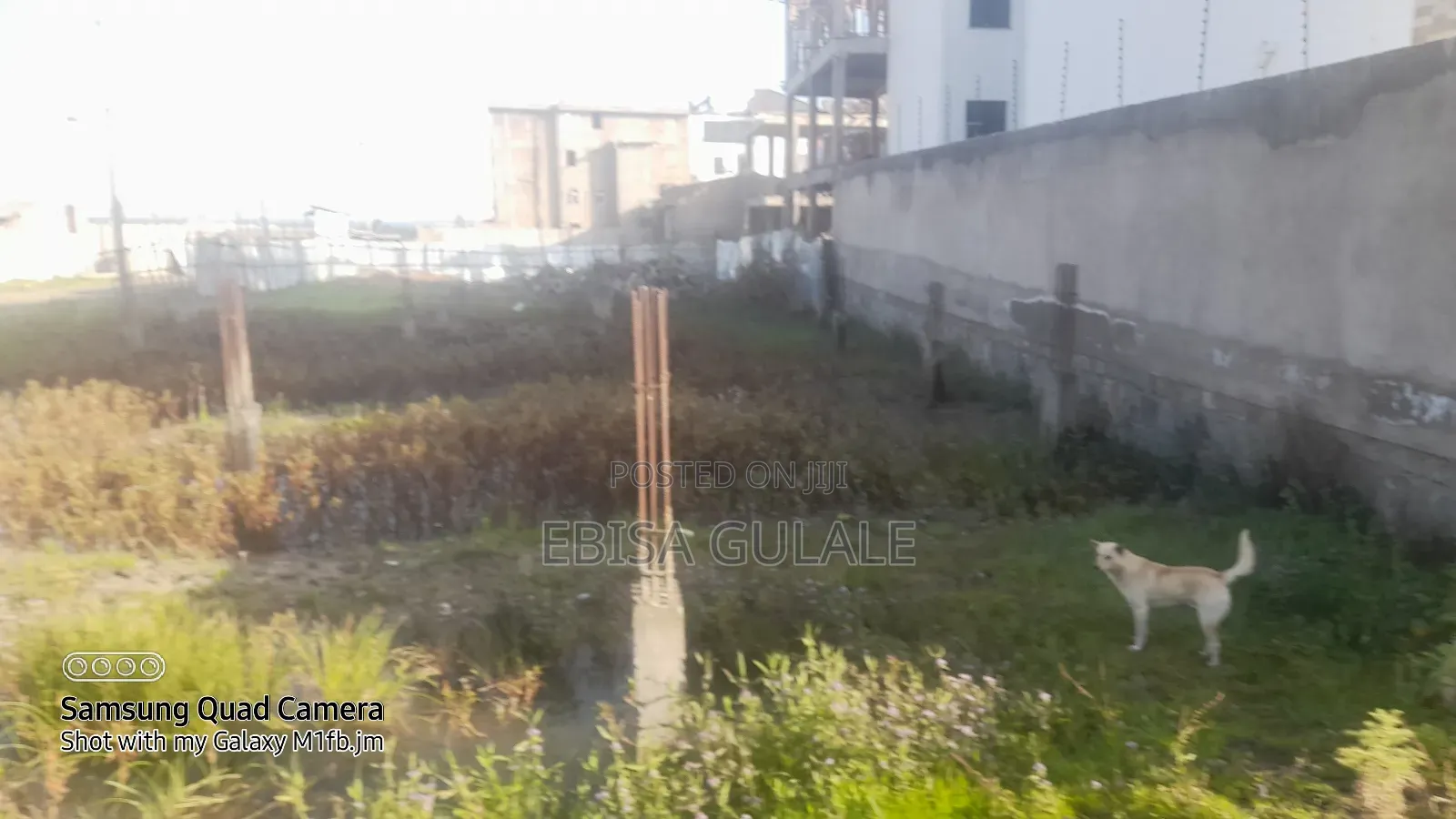 4bdrm Farm House in Oromia-Finfinne for sale