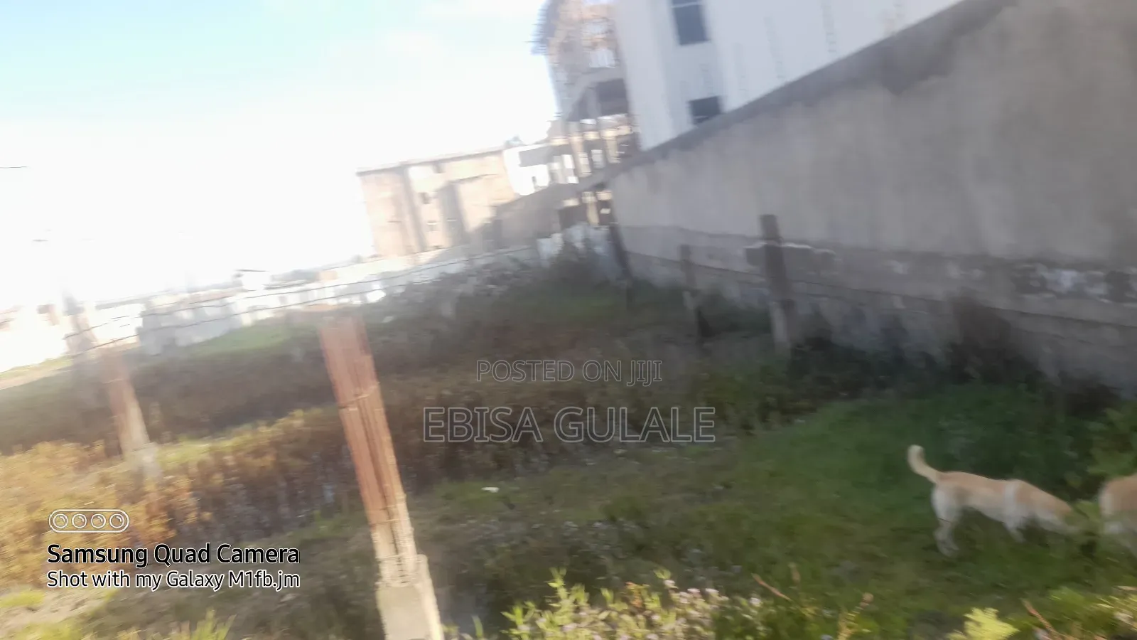 4bdrm Farm House in Oromia-Finfinne for sale