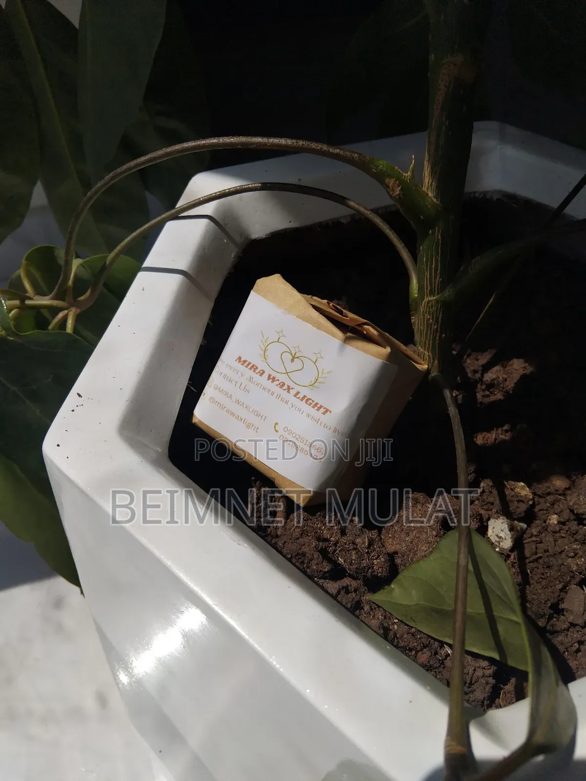 Bubble Scented Candles