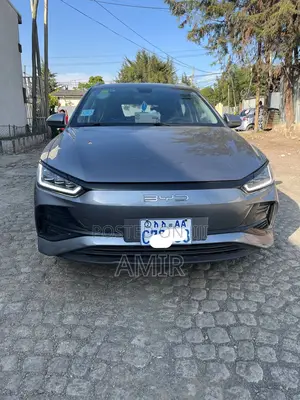 Photo - BYD E2 43 kWh 94 hp FWD 2024 Silver