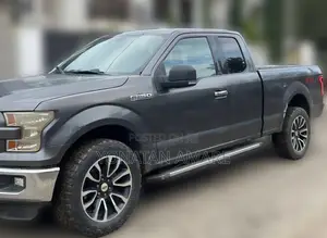 Ford F-150 2015 Gray