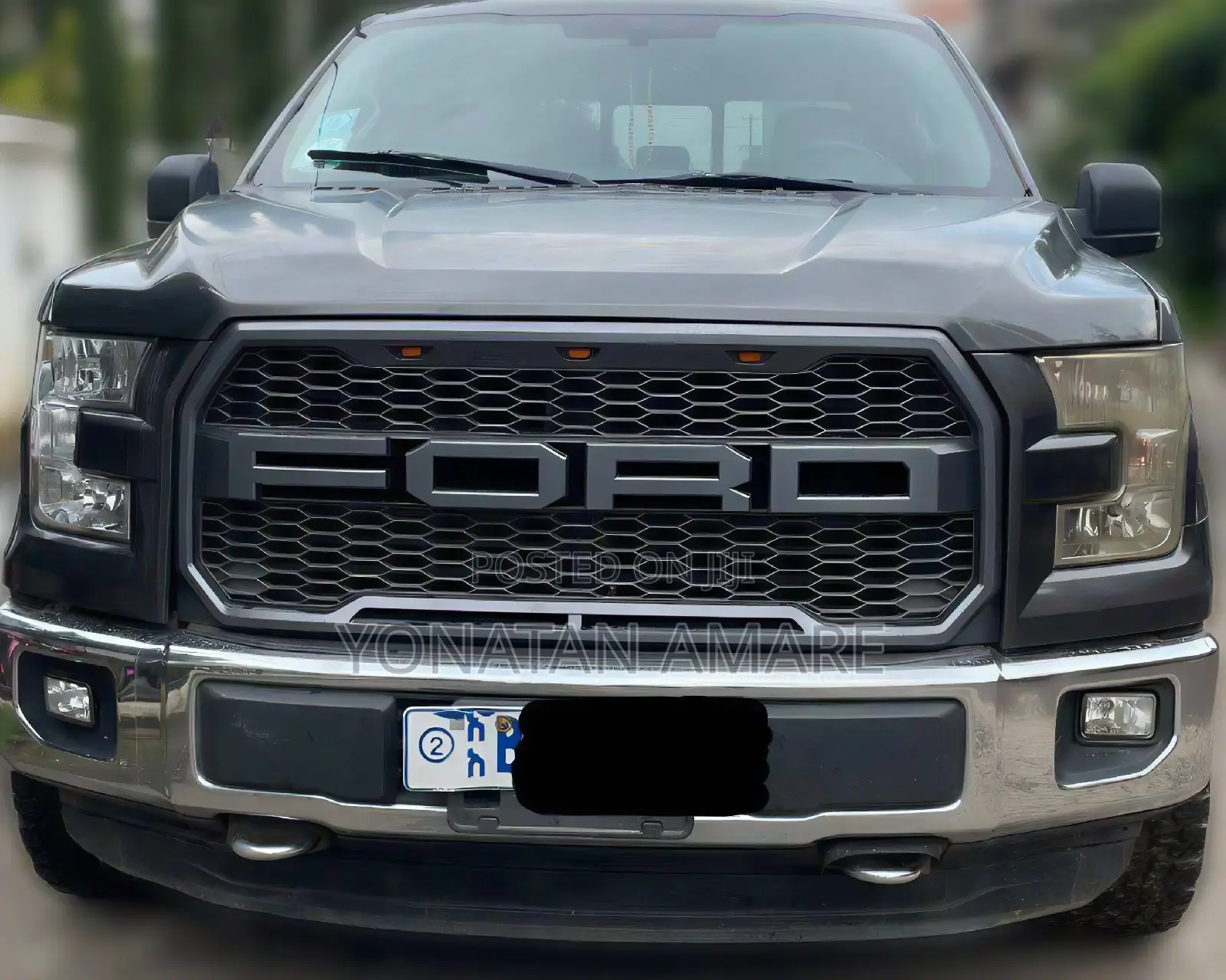 Ford F-150 2015 Gray