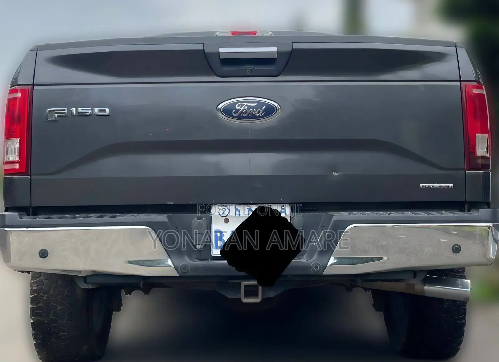 Ford F-150 2015 Gray