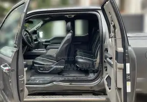 Ford F-150 2015 Gray