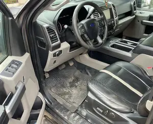 Ford F-150 2015 Gray