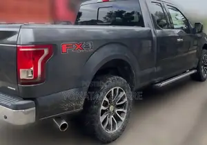 Ford F-150 2015 Gray