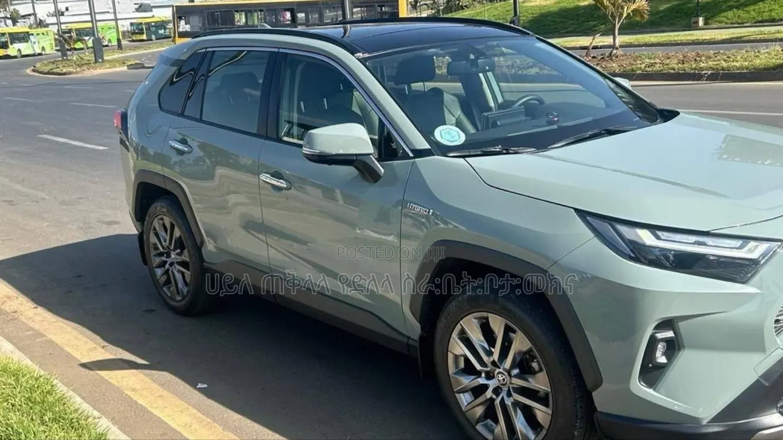 Toyota RAV4 Hybrid 2024 Green