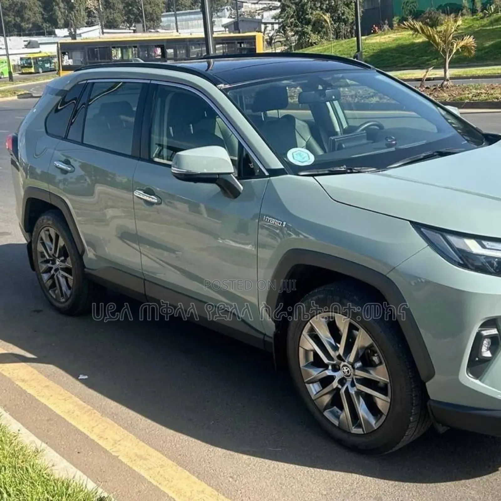 Toyota RAV4 Hybrid 2024 Green