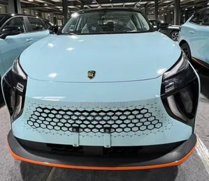 Photo - Car 2024 Beige