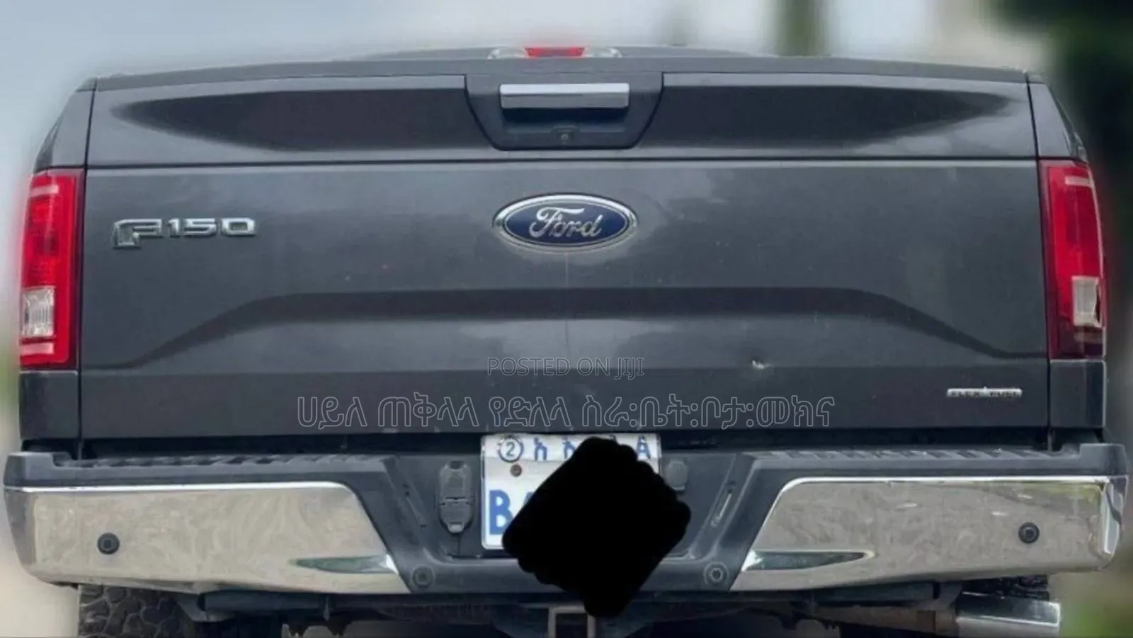 Ford F-150 2015 Gray