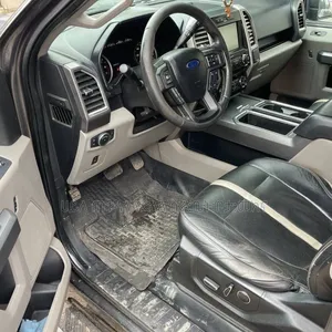 Ford F-150 2015 Gray