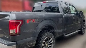 Ford F-150 2015 Gray