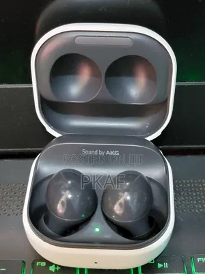 Photo - Galaxy Buds 2 Usa