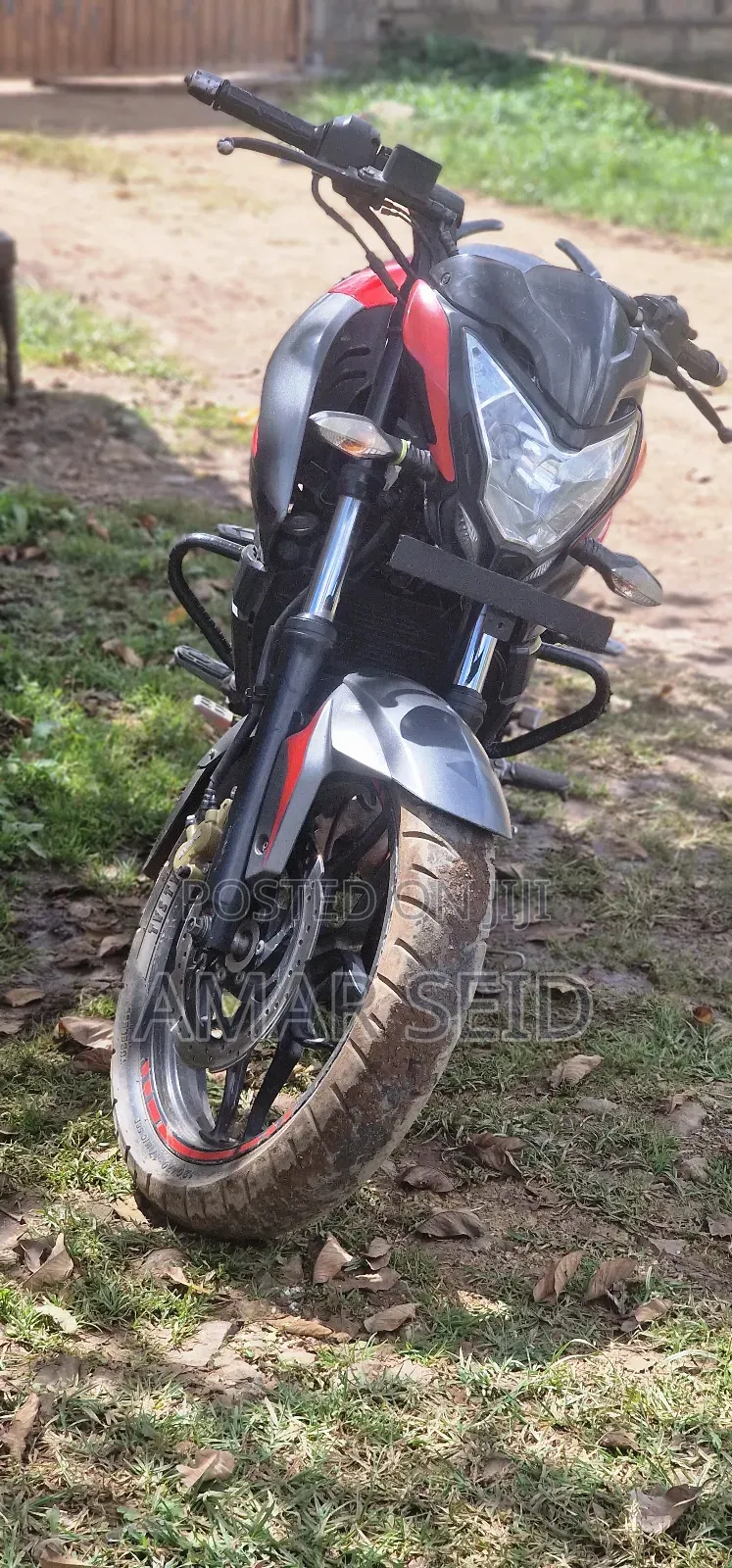 Bajaj Pulsar NS 200 2018 Red