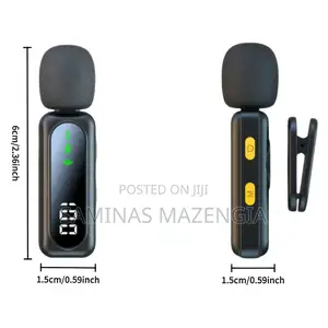 Photo - Professional Wireless Lavalier Microphone