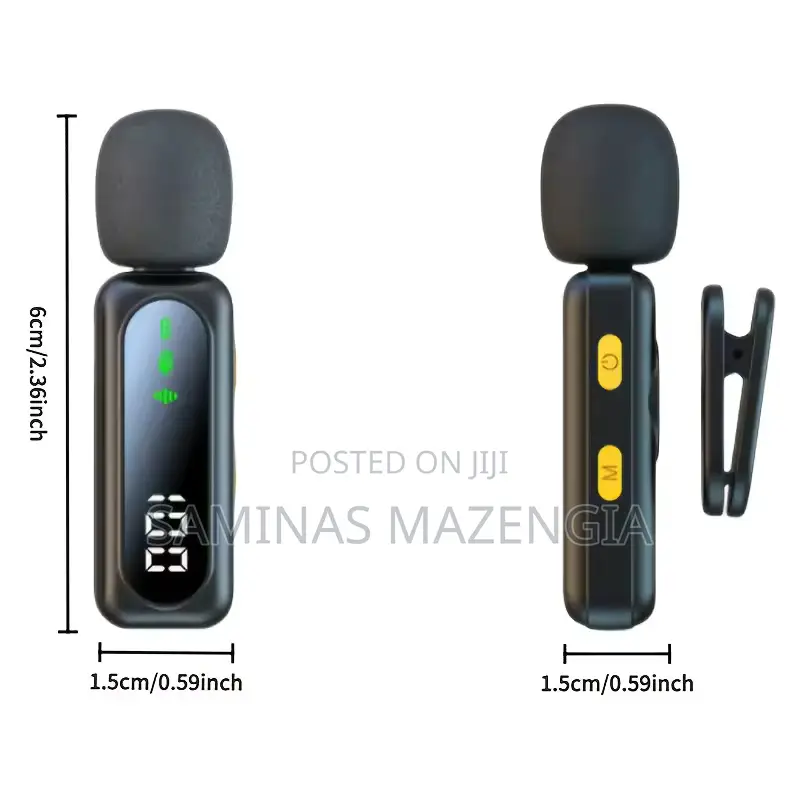 Professional Wireless Lavalier Microphone