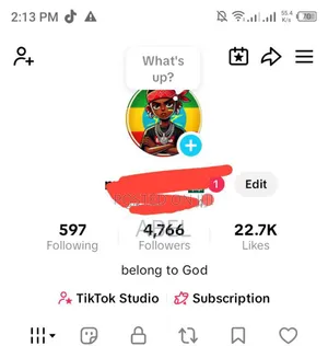 Photo - Tiktok Accounts