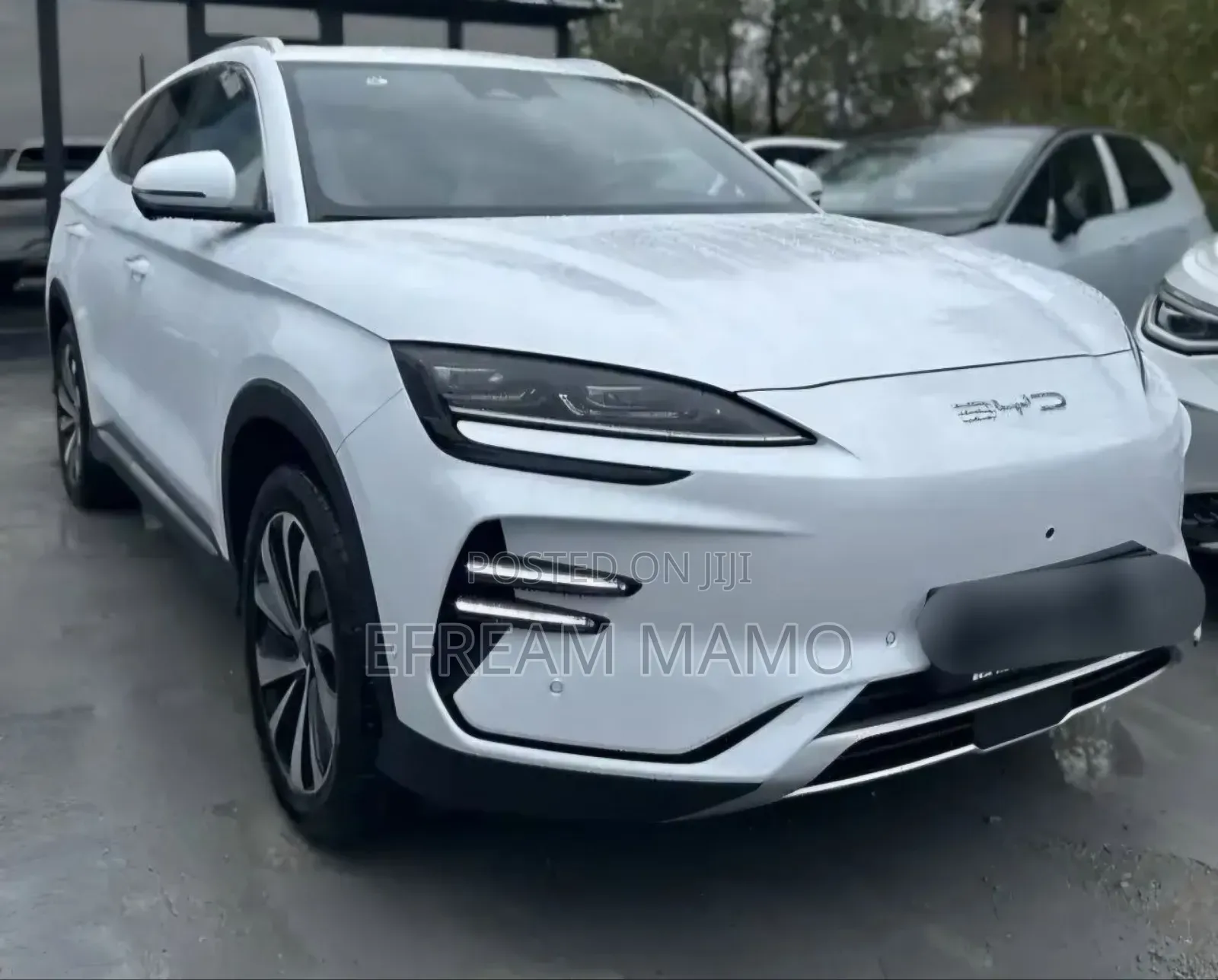 BYD Song Plus 2024 White