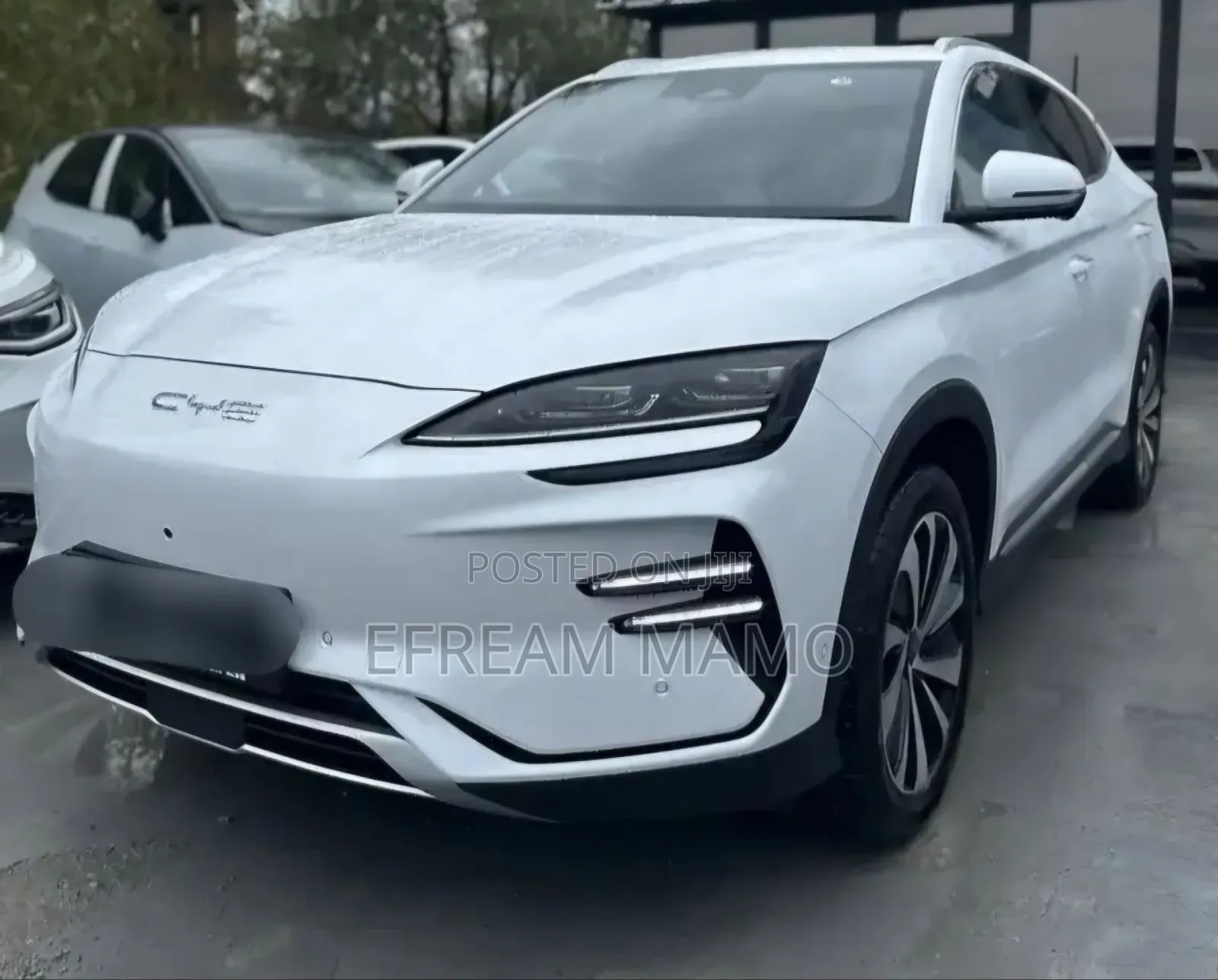 BYD Song Plus 2024 White