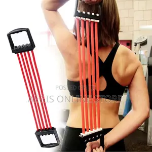 5 Spring Chest Expander