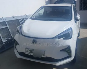 Photo - Car 2023 White