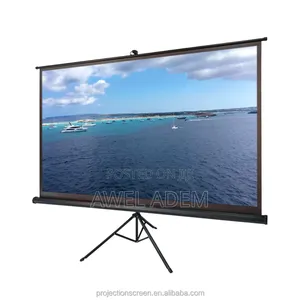 Projector Screen With Stand Home Cinema Projector Screen