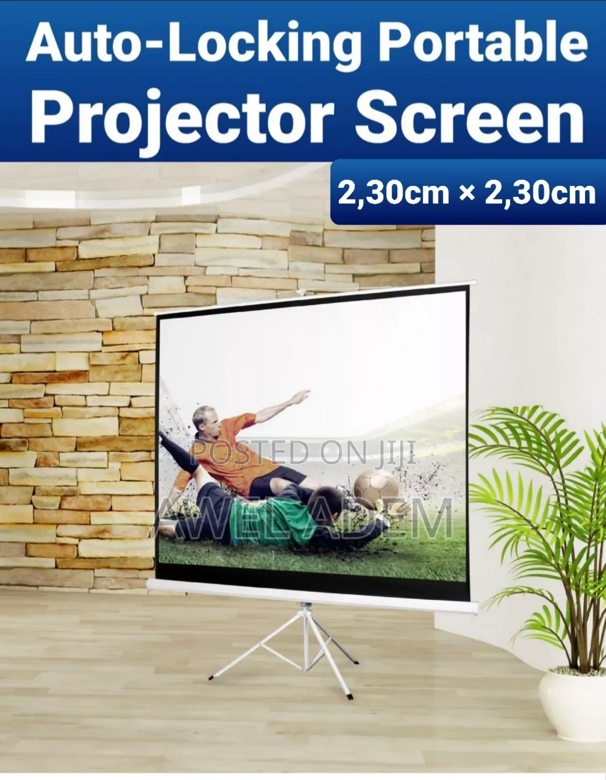 Projector Screen With Stand Home Cinema Projector Screen