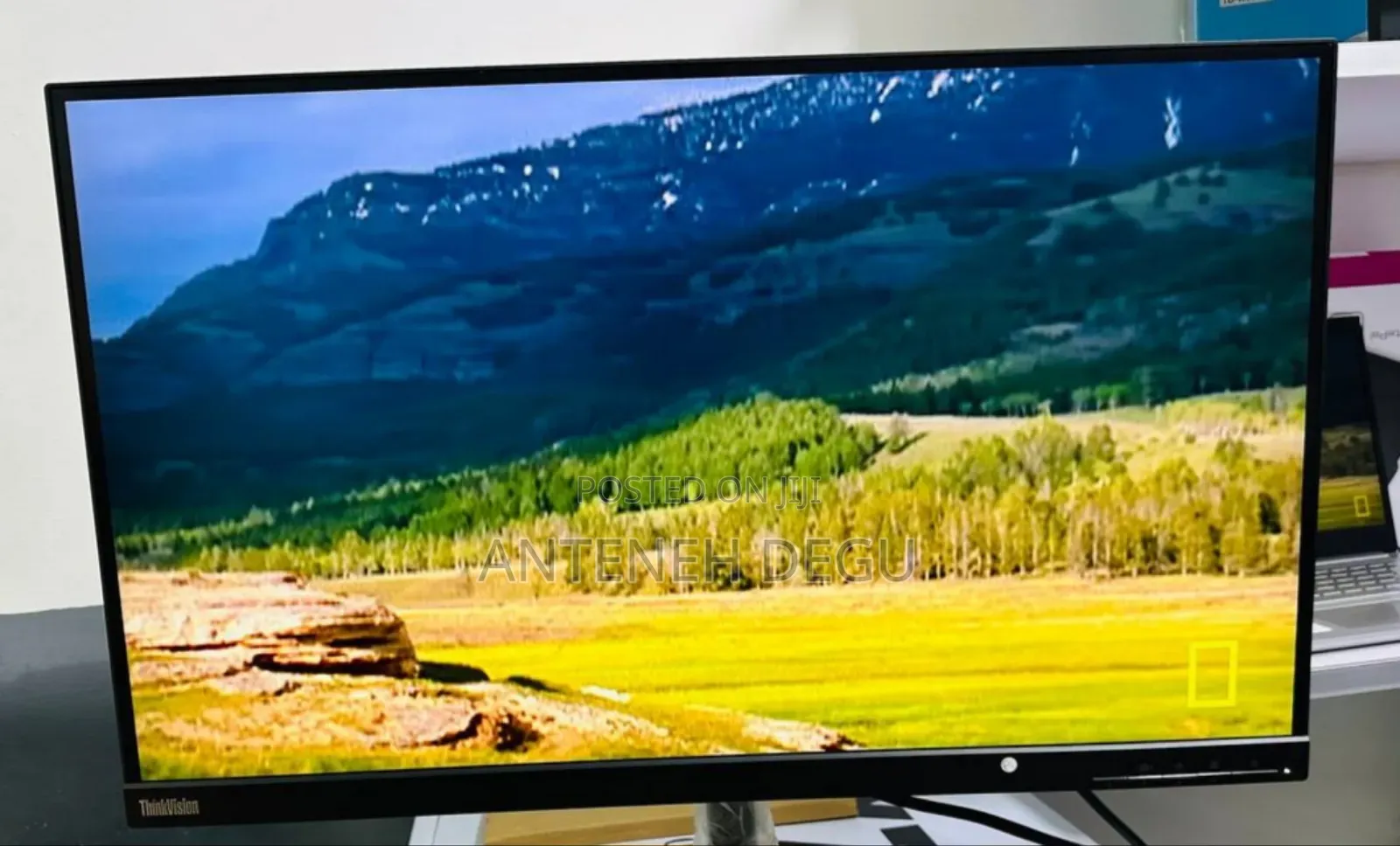 Dell Framless Monitor