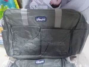 Chicco 5 in 1 Mom's Bag
