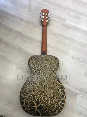 Semi Acoustic Guitar