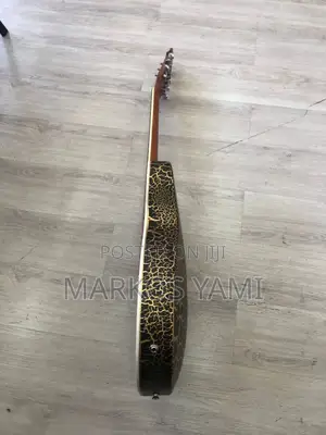 Semi Acoustic Guitar