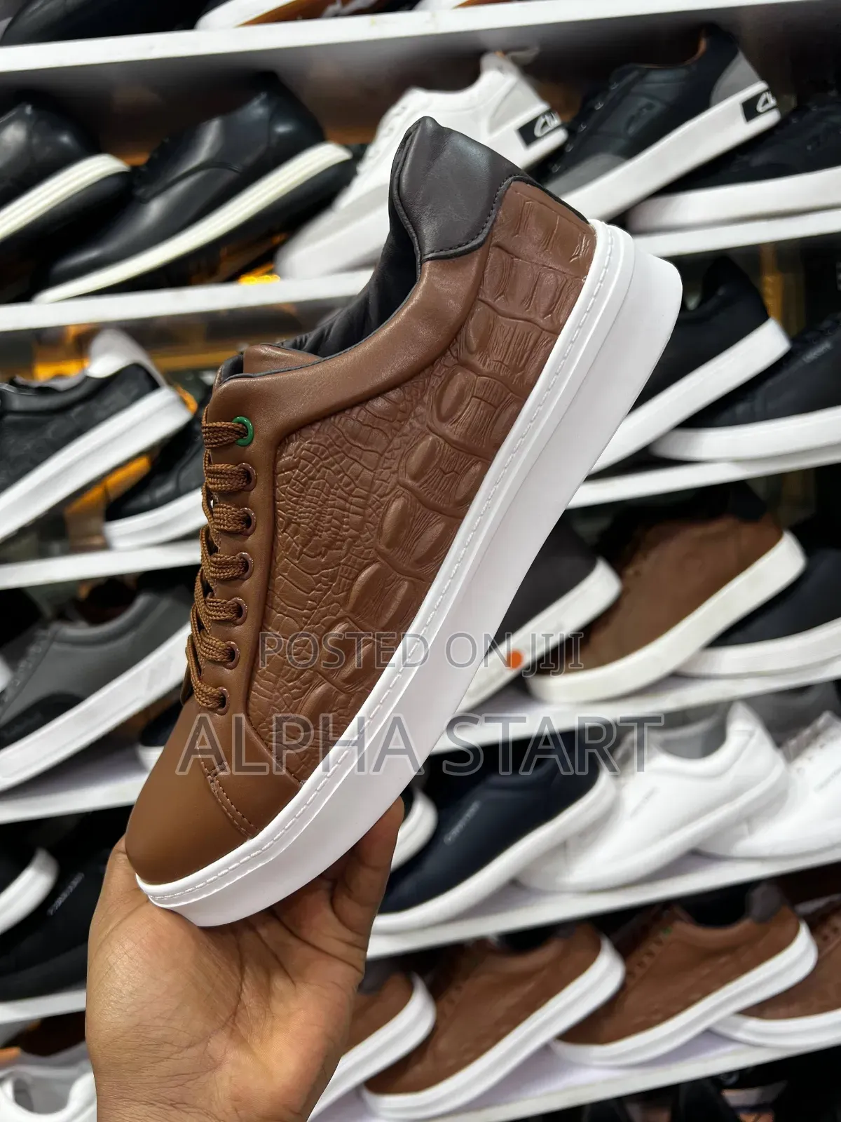 Lacoste Orginal Men's Shoe's Size 40,41,42,43,44,45