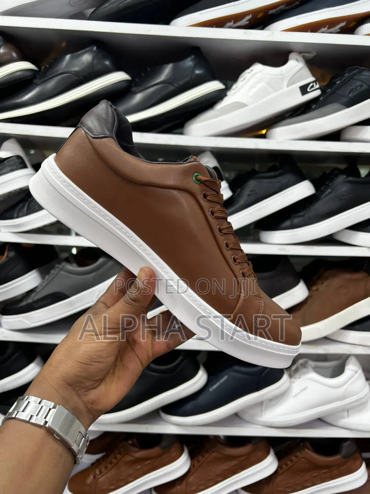 Lacoste Orginal Men's Shoe's Size 40,41,42,43,44,45