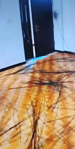 2bdrm Apartment in Ayat Zone-8, Luxury, Bole for sale