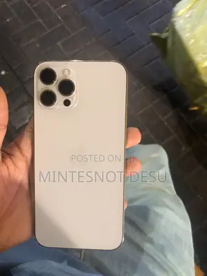 Apple iPhone 12 Pro Max 256 GB Silver