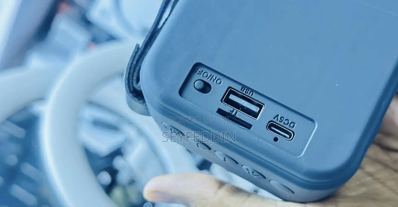 Portable Loudspeaker