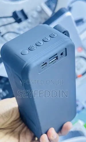 Portable Loudspeaker