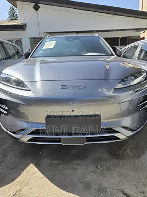New BYD Song Plus 2025 Gray