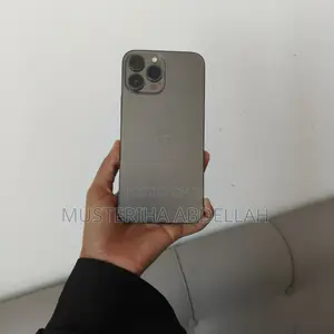 Apple iPhone 13 Pro Max 256 GB Gray